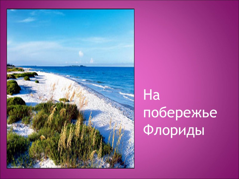 На побережье Флориды